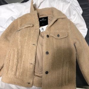 brand new holister teddy bear jacket